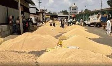 NEWS: हिट एंड रन कानून लागू...! ड्राइवरों की हड़ताल, अब नीमच मंडी पर पड़ा असर, इस उपज की नीलामी बंद, पढ़े ये खबर