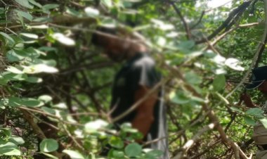 BIG NEWS: मनासा के सुरेश की मौत बनी रहस्य...! जंगल में पेड़ से लटकी मिली लाश, मंदिर जाते लोगों ने देखा, तो पुलिस को दी सुचना, अब जांच शुरू, घटना कंजार्डा चौकी क्षेत्र की, पढ़े खबर