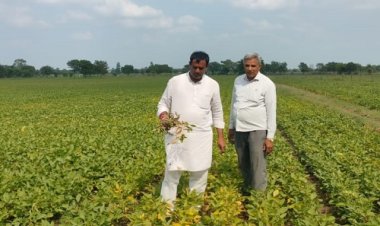 NEWS: अंचल में औसत से कम वर्षा, नष्ट हुई फसलों का उमरावसिंह ने लिया जायजा, फैसला जल्द से जल्द नहीं, तो होगा आंदोलन, पढ़े खबर