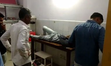 NEWS: भदवा के समीप सड़क हादसा, बाइक सवार के सामने आया ये जानवर, तो हुआ गंभीर घायल, अब मनासा अस्पताल में उपचार जारी, पढ़े खबर