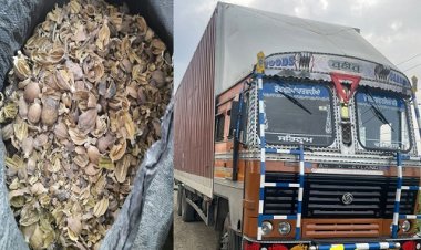 BIG NEWS: CBN की दो बड़ी कार्यवाहियां, नीमच जिले के इस गांव में दबिश, तो गरोठ क्षेत्र में कंटेनर को पकड़ा, डोडाचूरा की बड़ी खैप बरामद, क्या आरोपियों को भी किया गिरफ्तार...! पढ़े ये खबर