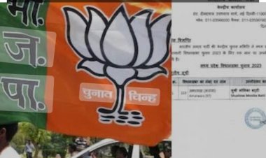 BIG BREAKING : मप्र में भाजपा की चौथी सूचि जारी,नीमच मंदसौर जिले के ये उम्मीदवार फ़ाइनल,मनासा सीट पर पेंच अब भी,पढ़े ये खबर