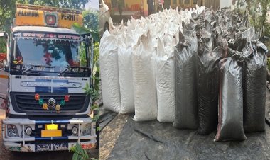 NEWS: मंदसौर जिले में यहां CBN की कार्यवाही, ट्रक से मादक पदार्थ की खैप जप्त, मौके से आरोपी भी गिरफ्तार, आखिर कहां से कहां देनी थी डिलेवरी, पूछताछ में तस्कर ने उगले राज, पढ़े ये खबर