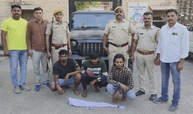 BIG NEWS: नाकाबंदी के दौरान निम्बाहेड़ा पुलिस की बड़ी कार्यवाही, अवैध राईफल व मैग्जीन सहित जिन्दा कारतुस जब्त, एमपी के आरोपी भी गिरफ्तार, पढ़े खबर