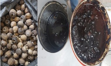 BIG NEWS: कनावटी के पास संदिग्ध गोदाम में CBN की दबिश, मादक पदार्थ की बड़ी खैप बरामद, मौके से आरोपी भी गिरफ्तार, पढ़े खबर