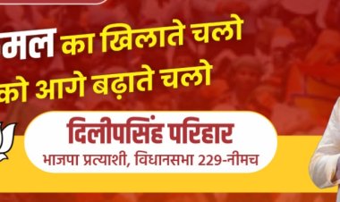 NEWS- बीजेपी प्रत्याक्षी दिलीप सिंह परिहार कल दक्षिण मंडल के इन गाँवो में करेंगे जनसम्पर्क,लेंगे जनता का आशीर्वाद,पढ़े खबर
