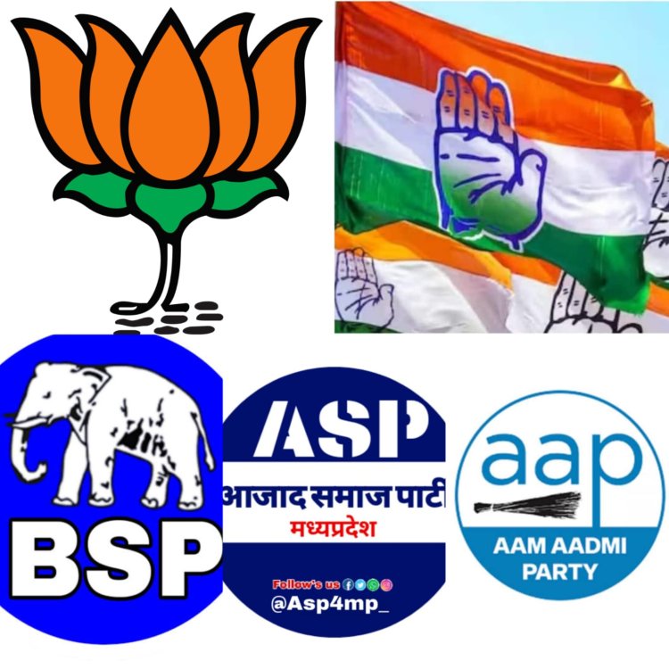 MP ELECTION : मल्हारगढ विधानसभा सीट, और सात उम्मीदवार मैदान में, पद दौड़ में ये नाम आगे, आखिर किसके सिर सजेगा जीत का ताज...! पढ़े ये खबर