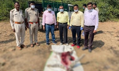 NEWS : मनासा के इस जंगल क्षेत्र में तेंदुए की संदिग्ध मौत,फिर वन विभाग आया एक्शन में,अज्ञात के खिलाफ यू मामला दर्ज, ओर फिर पीएम के बाद अंतिम संस्कार भी, पढ़े ये खबर