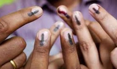 ELECTION NEWS  : नीमच मंदसौर जिले में भरपूर मतदान, सर्वाधिक इन विधानसभा में, देखे कहा कितने वोट गिरे, पढे ये खास खबर