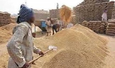 BIG BREAKING: नीमच मंडी शनिवार से बंद, इतने दिनों तक नहीं होगी नीलामी, किसानों को गेट पर मिलेंगे ताले, व्यापारी संघ ने किया ये बड़ा ऐलान, पढ़े खबर