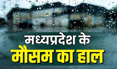 WEATHER UPDATE : एमपी में मौसम ने ली करवट, इन जिलों में घने कोहरे का अलर्ट, तो यहां बारिश के साथ ओले गिरने के भी आसार, नीमच-मंदसौर का नाम भी शामिल...! क्या फिर शुरू होगी कंपकपाती ठंड, पढ़े खबर