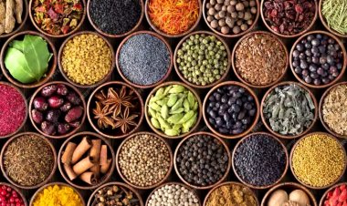 HELTH TIPS : सर्दियों में इन 5 मसालों को डाइट में करें शामिल, इम्यूनिटी होगी बूस्ट, फायदेमंद भी बहुत, पढ़े एक क्लिक में 