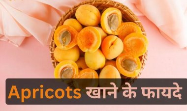 HEALTH TIPS : त्वचा और बालों के लिए किसी वरदान से कम नहीं एप्रिकॉट, फल की ये खासियत, जानें क्या है इसके फायदे...!