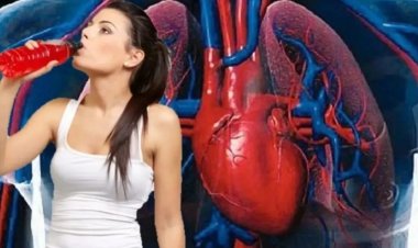 HEALTH TIPS : एनर्जी ड्रिंक्स में मौजूद शुगर और कैफीन से बच्चों को नुकसान, क्या दिमाग हो रहा कमजोर...! इस अध्ययन में चौंकाने वाला खुलासा, क्लिक करें और देखें