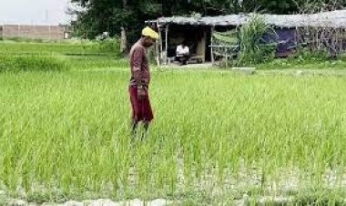 NEWS: जीरन मंडी में एक दिवसीय किसान गोष्ठी रविवार को, अन्नदाताओं से ये अपील, पढ़े खबर