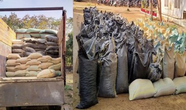 BIG NEWS: मंदसौर-रतलाम राजमार्ग पर CBN की बड़ी कार्यवाही, ट्रक से मादक पदार्थ जप्त, मौके से दो आरोपी गिरफ्तार, पढ़े खबर