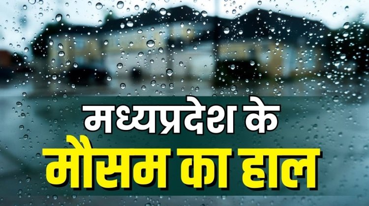 WEATHER UPDATE : एमपी में मौसम ने ली करवट, इन जिलों में घने कोहरे का अलर्ट, तो यहां बारिश के साथ ओले गिरने के भी आसार, नीमच-मंदसौर का नाम भी शामिल...! क्या फिर शुरू होगी कंपकपाती ठंड, पढ़े खबर