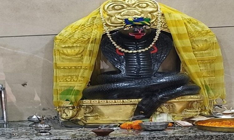 NEWS: श्रीराम की प्राण-प्रतिष्ठा सोमवार को, चौरसिया समाज धूमधाम से मनाएगा समारोह, भक्ति संगीत एवं दीप प्रज्जवल सहित होंगे विभिन्न आयोजन, पढ़े खबर