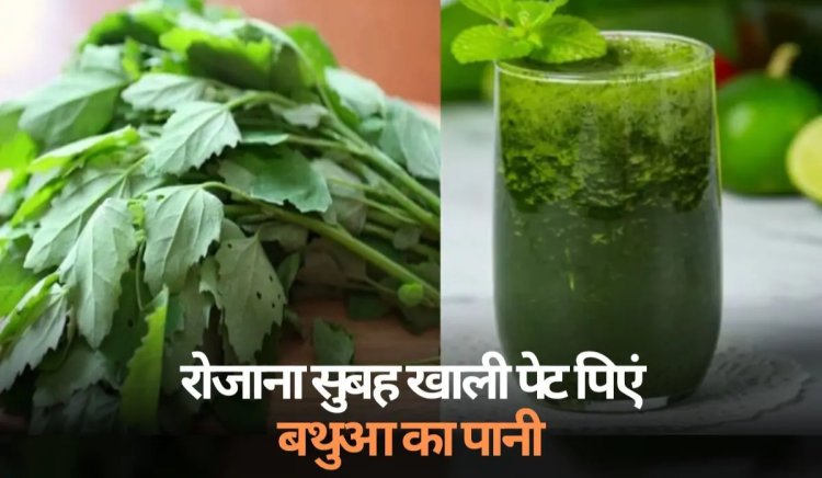 HEALTH TIPS : सर्दियों में बेहद फायदेमंद है बथुआ का पानी, रोजाना खाली पेट पिएं, हेल्थ सहित बीमारियों के लिए भी असरदार, मिलेंगे अनेक फायदे...! क्लिक करें और देखें 