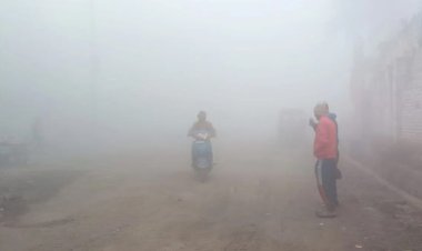 WEATHER ALERT : एमपी में मौसम की करवट...! इन जिलों में छाएगा कोहरा, तो यहां मिलेगी ठण्ड से राहत, क्या है IMD का पूर्वानुमान, पढ़े खबर