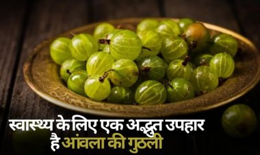 HEALTH TIPS: आंवले में छुपे है सेहत के कई राज, वजन घटाने में भी सहायक, बस इस तरह करें इस्तेमाल...! क्लिक करें और देखें