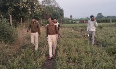 OMG ! मनासा क्षेत्र के इस गांव में जंगली सियार का आतंक, कई लोगों पर किया हमला, घायलों में एक की हालत गंभीर, वन विभाग अलर्ट, पढ़े मनीष जोलान्या की खबर