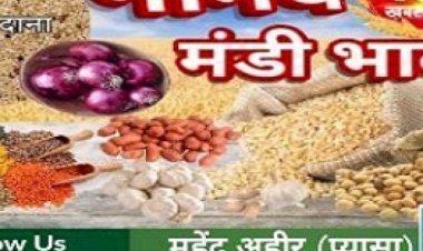 NEEMUCH MANDI : नीमच मंडी में लहसुन एवं मूंगफली तेज, जो नरम, आज किस जींस के भाव में आई गिरावट, और इस दिन रहेगी मंडी बंद, देखें महेन्द्र अहीर (प्यासा) की इस रिपोर्ट में