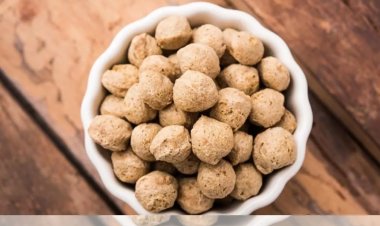 HEALTH TIPS : सोयाबीन का सेवन है बेहद फायदेमंद, वजन कम करने सहित इन बीमारियों से मिलेगा छुटकारा, अपनी डाइट में करें शामिल, क्लिक करें और देखें 