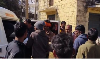 OMG ! युवक ने गटका जहरीला पदार्थ, तो मनासा से नीमच, फिर उदयपुर रैफर, बीच रास्ते में तोड़ा दम, पीएम के बाद पुलिस की जांच  शुरू, अनिल ने आखिर क्यों किया सुसाइड...! पढ़े मनीष जोलान्या की खबर