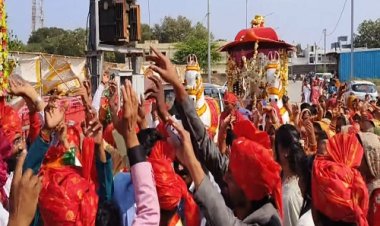 NEWS: प्रजापति समाज ने मनासा में निकाली भगवान शालिग्राम की भव्य शोभायात्रा, तुलसी विवाह भी संपन्न, समाजजनों में दिख उत्साह, पढ़े खबर