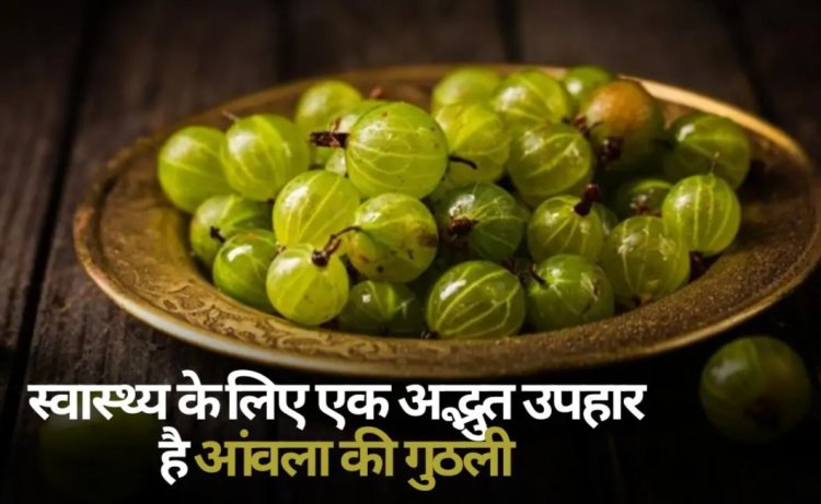 HEALTH TIPS: आंवले में छुपे है सेहत के कई राज, वजन घटाने में भी सहायक, बस इस तरह करें इस्तेमाल...! क्लिक करें और देखें