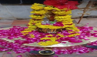 NEWS: महाशिवरात्रि पर्व, नगर भ्रमण पर निकलेंगे सोमनाथ महादेव, भक्तों को देंगे दर्शन, ऐतिहासिक रहेगी शाही सवारी, क्या कुछ रहेगा खास, पढ़े मनीष जोलान्या की खबर