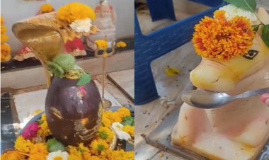 NEWS: नीमच में यहां नंदी ने पिया जल, तो उमड़ पड़ी भक्तों की भीड़, फिर घंटों तक चला पूजा-अर्चना का सिलसिला, पढ़े खबर