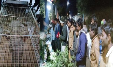 BIG NEWS: ग्राम गरनाई में दिखा विशालकाय मगर, तो ग्रामीणों में फैली दहशत, फिर रेस्क्यू टीम पहुंची मौके पर, घंटों की मशक्कत के बाद मिली सफलता, पढ़े ये खबर