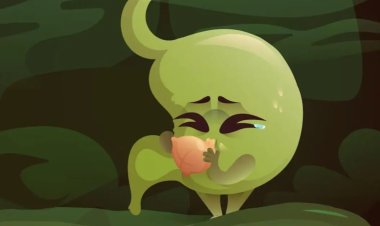 HEALTH TIPS : अगर आप भी है कब्ज की समस्या से परेशान, तो रोजाना सुबह उठते ही पिएं ये ड्रिंक्स, पेट रहेगा साफ, शरीर के लिए भी बेहद फायदेमंद, क्लिक करें और देखें 