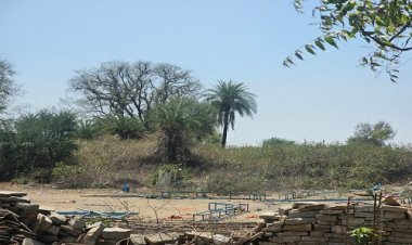 BIG NEWS: नियम से विपरीत पट्टे जारी, फिर अलग-अलग नामों से बेचे, हजारों स्क्वायर फीट जमीन का झोल, ग्राम पंचायत बरखेड़ा कमलिया में बड़ा खेल, मामला जावद क्षेत्र का, पढ़े खबर