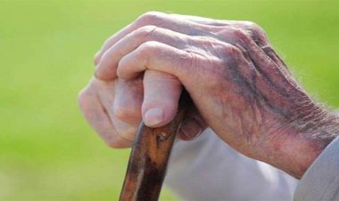 NEWS : वृद्धजनों के लिए निःशुल्क शिविर का आयोजन, 20 मई को पहुंचे जिला अस्पताल, डॉक्टरों की स्पेशल टीम देगी सेवाएं, ये जांच भी होगी हाथों हाथ, पढ़े खबर