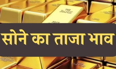 GOLD-SILVER PRICE TODAY : एकादशी पर सोना खरीदने का है विचार, तो जान लें आज के ताजा भाव, सोने में आया उछाल, और चांदी के ये दाम, क्या है लेटेस्ट रेट, क्लिक करें और देखें