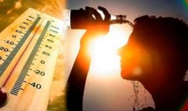 NEWS : भीषण गर्मी का दौर, चल रही गर्म हवाएं, जिला प्रशासन ने की एडवाइजरी जारी, विभिन्न विभागों को किया अलर्ट, पढ़े खबर