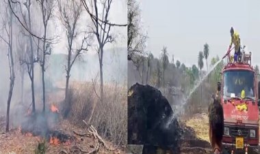 OMG ! आसमान में धुआं देख जंगल की और दौड़े ग्रामीण, जब नजर आया ये मंजर, तो रह गए दंग, फिर दमकल की टीमें भी पहुंची, पर सब हो गया खाक, घटना रतनगढ़ थाना क्षेत्र की, पढ़े खबर