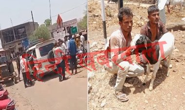 OMG ! बदमाशों ने चोरी किया बेजुबान, तो मालिक ने घुमाया फोन, फिर ग्रामीणों ने पकड़े बकरा चोर, और कर दी जमकर धुनाई, पुलिस के पहुंचने से पहले ही कर डाली ये हालत, घटना मनासा थाना क्षेत्र की, पढ़े मनीष जोलान्या की खबर