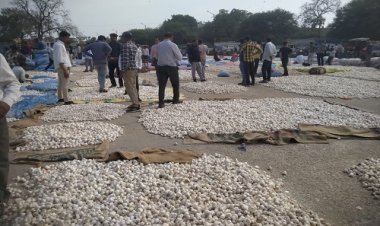 NEWS : मंडी में व्यवस्थाएं हुई दुरुस्त, सचिव की मेहनत लाई रंग, किसानों के लिए ये सुविधाएं, तो अब इनका प्रवेश हुआ बंद, पढ़े महेंद्र अहीर की खबर