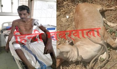 OMG ! रामपुरा क्षेत्र में खूंखार जानवर की दस्तक, आज इन्हें बनाया निशाना, पीछे से यूं किया हमला, दशहत में ग्रामीण, क्या है पूरा मामला, पढ़े रुपेश सारू की खबर