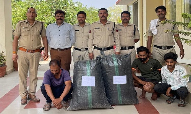 BIG NEWS: बाइक पर लादा नशा, और स्मगलिंग के लिए निकले सौदागर, इस तिराहे पर जीरन पुलिस ने घेरा, डोडाचूरा जप्त, विजयदास और अजयसिंह गिरफ्तार, तीसरा तस्कर भी ऐसे चढ़ा हत्थे, T.I मनोज जादौन के नेतृत्व में टीम की बड़ी कार्यवाही, पढ़े खबर