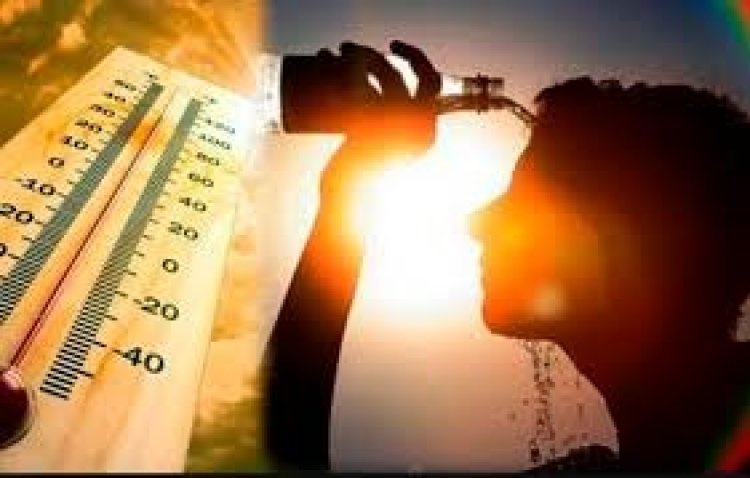 NEWS : भीषण गर्मी का दौर, चल रही गर्म हवाएं, जिला प्रशासन ने की एडवाइजरी जारी, विभिन्न विभागों को किया अलर्ट, पढ़े खबर