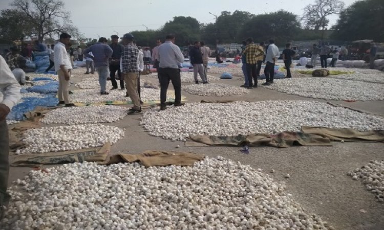 NEWS : मंडी में व्यवस्थाएं हुई दुरुस्त, सचिव की मेहनत लाई रंग, किसानों के लिए ये सुविधाएं, तो अब इनका प्रवेश हुआ बंद, पढ़े महेंद्र अहीर की खबर