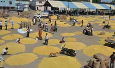 BIG NEWS : चंगेरा मंडी में फिलहाल नहीं होगी इन उपज की नीलामी, मंडी समिति द्वारा जारी आदेश निरस्त, किसानों से की ये अपील, पढ़े खबर