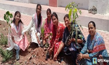 NEWS : विश्व पर्यावरण दिवस, शासकीय महाविद्यालय जीरन में किया पौधरोपण, पर्यावरण के बिना जीना संभव नहीं, ये संदेश भी दिया, पढ़े खबर
