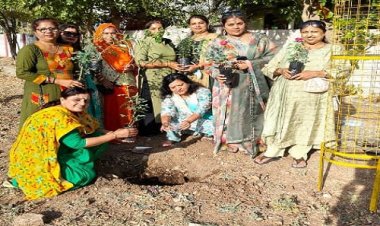 NEWS : विश्व पर्यावरण दिवस, विश्व सिंधी सेवा संगम ने किया पौधारोपण, देखभाल का लिया संकल्प, सरहानीय कदम का दिया संदेश, पढ़े खबर