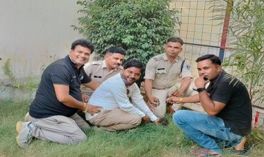 NEWS : विश्व पर्यावरण दिवस, पिपलियामंडी चौकी में पुलिस एवं पत्रकारों ने किया पौधरोपण, हरियाली के साथ दिया जरुरी संदेश, या संकल्प भी लिया, पढ़े खबर